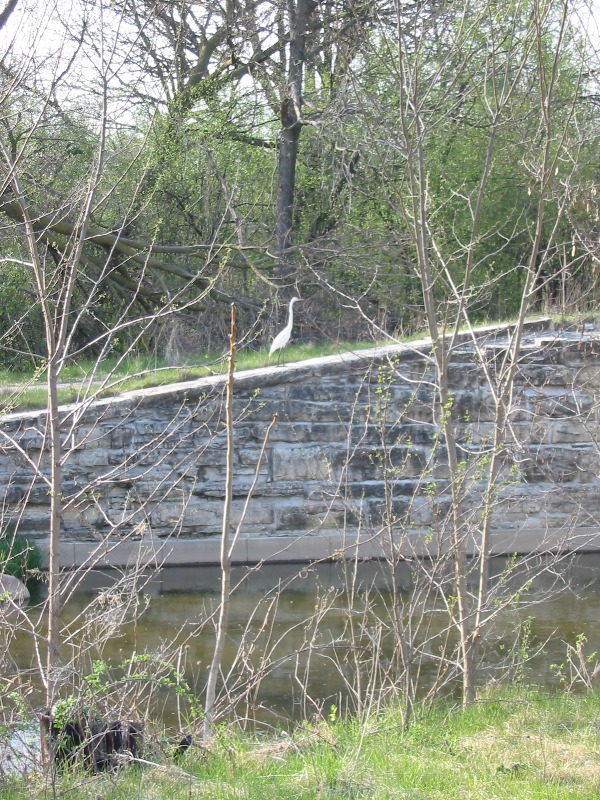 IMG_0502.JPG