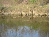 IMG_0517.JPG