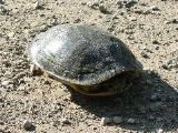 IMG_0535.JPG